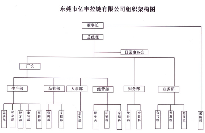 组织架构 - 东莞草莓视频在线观看免费视频草莓视频下载污污有限公司