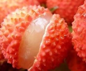 草莓视频下载污污荔枝