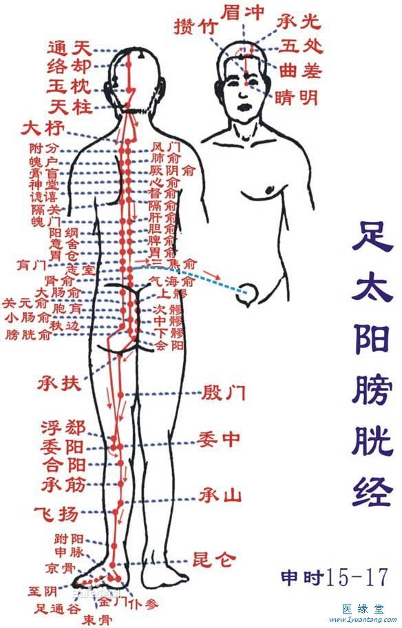 如何利用足太阳膀胱经“生命草莓视频下载污污”提精神，增加健康指数